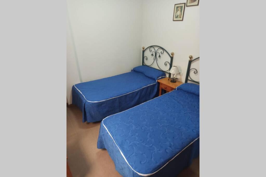 Spacious Apartment Just Few Steps Of The Ocean In La Caleta アデヘ エクステリア 写真