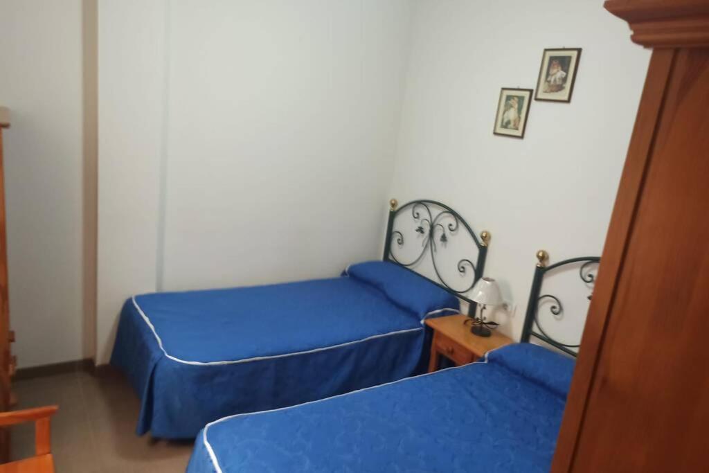 Spacious Apartment Just Few Steps Of The Ocean In La Caleta アデヘ エクステリア 写真